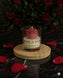 Scarlet Rose